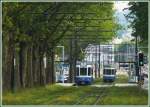 Zwei Trams der Serie 2000 fotografiert aus dem Panoramaende eines vorausfahrenden Cobra-Trams bei der Haltestelle Glattpark.