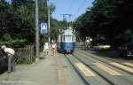 Zrich VBZ Tram 5 (Be 4/4 1384) Krhbhlstrasse im Juli 1983.