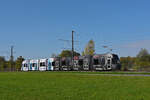 Be 6/8 Flexity 5011 mit der Werbung für die World Cup Finals 2025 in Basel, auf der Linie 14, fährt am 18.10.2022 zur Haltestelle Lachmatt.