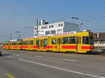 Doppeltraktion, mit dem Be 4/8 251 und dem Be 4/6 105, auf der Linie 10, fährt am 04.03.2012 zur Haltestelle M- Parc.