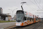Be 6/10 Tango 177 mit der Migros Werbung, auf der Linie 11, fährt am 11.12.2024 bei der Haltestelle M-Parc ein.