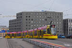 Be 6/10 Tango 159, auf der Linie 11, überquert am 21.12.2024 die Münchensteinerbrücke.