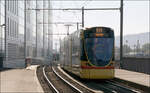 Im morgendlichen Gegenlicht -     ...