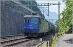 Ungeschickt im Gegenlicht fotografierte ich die WRS Re 430 115, die ehemalige SMB Re 4/4 III 181, die mit einem Kesselwagenganzzug kurz nach dem Château de Chillon in Fahrtrichtung Lausanne fährt. Noch ungeschickter als das Gegenlicht sind die Holzlatten auf der Höhe des zweiten Wagen, welche wohl für einen künftigen Zaun stehen. Trotzt der Hinweise betreffend fehlender Rechtsgrundlage zu Panoramafreiheit, ist dies doch ein Grund künftig über eine Drohne nachzudenken.

31. Mai 2023