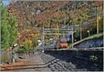 Eine SBB Re 460 ist mit ihrem IR 90 1817 auf dem Weg von Genève Aéroport nach Brig und zeigt sich auf halbem Weg zwischen dem Château de Chillon und Villeneuve vor dem Hintergrund bunter Herbstlandschaft. 

4. November 2025