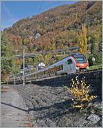 Der SBB RABe 523 114 und ein anderer FLIRT sind kurz vor Villeneuve als R3 24341 von Vallorbe nach Bex unterwegs; bei diesem Bild bewog mich der kleine bunte Baum im Vordergrund zum Abdrücken