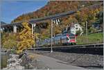Der SBB RABe 511 108 ist als RE 33 18467 kurz vor Villeneuve auf dem Weg von Annemasse nach 
Martigny. Der kleine Baum mit den herrlich leuchtenden gelben Blättern dient mir in anderen Jahreszeiten aus einem andern Blickwinkel als Richtpunt für Bahnbilder mit dem Château de Chillon im Hintergrund. 

4. November 2025