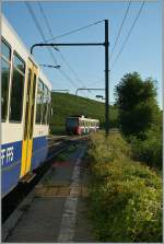 Nachdem die gemieteten SNCF RIO-Zge zurckgegeben wurden und Flirts eine betrchtlichen Anteil des Verkehr zwischen Genve und La Plaine bernommen haben, sind die Bem 550 mehrheitlich im  internationalen Verkehr  nach Bellegarde im Einsatz und dominieren nicht mehr fast den gesamten Regionalverkehr, deshalb war es ein glcklicher Zufall, in Russin gleich ein Bild von zwei sich begegnenden Bem 550 machen zu knnen. 
31. August 2010
