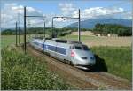 TGV Lyria 6568 Paris - Genve zwischen Russin und Satigny. 
31. August 2010