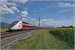 Mein Beitrag zum Nationalfeiertag in Frankreich: Der TGV Lyria 9261, geführt vom Triebzug N°  4721, hat kurz vor Arnex sein Ziel Lausanne schon fast erreicht.