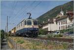 Die IRSI 'Rheingold' Re 4/4 II 11387 (Re 421 387-2 / UIC 91 85 4421 387-2 CH-IRSI) ist mit einem Gleisbauzug in Ligerz auf dem letzten Einspurabschnitt der Jurafusslinie auf dem Weg von Chavornay in Richtung Biel/Bienne. Im rechten Bildteil gleitet d ...