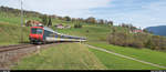 SBB RBDe 562 als RegioExpress Neuchâtel - Frasne am 27.