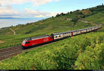 Re 460 002-9  Seeland  unterwegs östlich von Grandvaux (CH) am Genfersee (Lac Léman).

🧰 SBB
🚝 IR 2513 (IR 15) Genève-Aéroport (CH)–Fribourg/Freiburg (CH)
🚩 Bahnstrecke Lausanne–Bern (250)
🕓 4.8.2020 | 8:52 Uhr