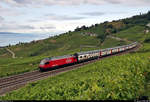 Nachschuss auf Re 460 ??? östlich von Grandvaux (CH) am Genfersee (Lac Léman).

🧰 SBB
🚝 IR 2510 (IR 15) Fribourg/Freiburg (CH)–Genève-Aéroport (CH)
🚩 Bahnstrecke Lausanne–Bern (250)
🕓 4.8.2020 | 9:10 Uhr