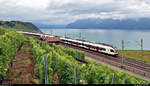 Zwei RABe 523 (Stadler FLIRT) sind östlich von Grandvaux (CH) am Genfersee (Lac Léman) unterwegs.

🧰 Réseau Express Régional Vaudois (RER Vaud | SBB)
🚝 S5 Palézieux (CH)–Grandson (CH)
🚩 Bahnstrecke Lausanne–Bern (250)
🕓 4.8.2020 | 9:17 Uhr
