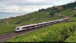 Nachschuss auf zwei RABe 523 (Stadler FLIRT) östlich von Grandvaux (CH) am Genfersee (Lac Léman).

🧰 Réseau Express Régional Vaudois (RER Vaud | SBB)
🚝 S5 Palézieux (CH)–Grandson (CH)
🚩 Bahnstrecke Lausanne–Bern (250)
🕓 4.8.2020 | 9:17 Uhr