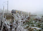 Berner S-Bahn (S3), immernoch im Nebel: BLS MUTZ 515 008 unterwegs von Biel über Bern nach Belp. Wabern, 16.Januar 2022 