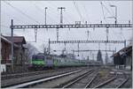 Die BLS Re 4/4 II 502 schieb ihren RE von Zweisimmen nach Interlaken Ost durch den Bahnhof von Leissigen.