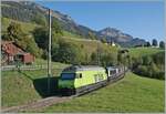 Die BLS Re 465 014 ist mit dem GoldenPass Express GPX 4064 nach Interlaken Ost bei Enge im Simmental unterwegs. Die BLS Lok hat den umgespurten Zug in Zweisimmen von der MOB übernommen.  

7. Okt. 2023