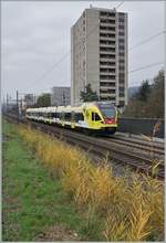 Nur 10 Minuten am Bahndamm gestanden... 
Kaum war der ICN in Richtung Lengnau aus dem Blickfeld verschwunden taucht der SBB RABe 521 117 im Werbeanstrich auf. Der Flirt ist als Regionalzug 7621 von Biel/Bienne nach Solothurn unterwegs und befindet sich hier zwischen Lengnau und Grenchen Süd. 

11. November 2020