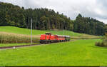 OeBB Bm 6/6 18505 / Dürrenroth, 5. Oktober 2024<br>
Huttwiler Dampftage