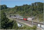 Blick aus der südlicher Richtung auf die Abzweigstation Wanzwil bei Kilometer 36 der NBS Mattstetten - Rothrist mit einem von einer SBB Re 460 gezogenen IC au fdem Weg in Richtung Olten. Der Zug hat gerade den zweispurigen, 3173 Meter langen Önzbergtunnel verlassen. 

16. September 2022    