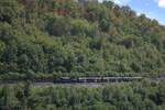 Am 30.08.2026 f�hrte SBB Historic wieder mal eine Fahrt mit dem Schr�gstangenkrokodil durch, hier in Richtung Sissach kurz nach L�ufelfingen.