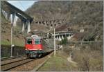 Ein klassischer Gotthard IR auf der Fahrt nach Locarno auf der untersten Stufe der Biaschina.