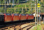 Eine DB 185-Vierfachtraktion verlässt am 13.09.2016 den Bahnhof Faido in Richtung Gotthard