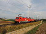 Möhlin - 17. Juni 2022 : Rheincargo Loks 185 584 + 588 unterwegs mit einem Kesselzug.