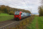 Br Br 193 193 465 fährt mit einem Güterzug durch Villnachern Richtung Basel.