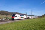 Seit einigen Wochen sind die neusten Züge der SBB-Flotte im Personenverkehr unterwegs. Hier fährt der RABe 512 013 als IR36 durch Frick Richtung Basel SBB. 16.10.2023