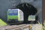 Blick durch den kurzen Tunnel bei Villmergen, ein Lokzug fährt am 28.05.2023 Richtung Brugg.
