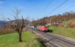 193 344 mit dem 40003 (Taulov - Gallarate) bei Umiken 20.3.26