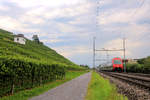 In den Rebbergen am Zürichsee - S7 nach Winterthur, gestossen von Lok 450 026.