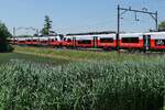 Von Sulgen kommend befinden sich 4748-515 / 015 und 4748-508 / 008 laut Zugzielanzeige auf Probefahrt in Richtung Romanshorn. Aufnahme entstand am 09.06.2023 an der Freizeitanlage 'Bädli' in Riedt bei Erlen.