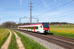 Der RABe 531 001 auf Testfahrt zwischen Sulgen und Romanshorn. Der RABe 531 ist der neuste Zug der SBB-Flotte. Erlen, 5.4.2024