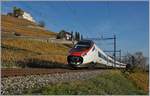 Der SBB ETR 610 (RABe 503) als EC 36 von Milano nach Genève unterwegs macht mir mit seiner offenen Schnauze wenig Freude, als er bei Lutry durchs herbstliche Lavaux fuhr.