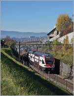 Der SBB RABe 511 115 als RE 3119 von Genève nach Romont zwischen Bossière und Grandvaux.