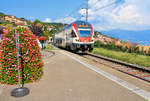 Die wegen Bauarbeiten via Vevey umgeleiteten Züge Fribourg - Genève auf der Lokallinie durch die Rebberge bei Chexbres.