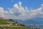 Die wegen Bauarbeiten via Vevey umgeleiteten Züge Fribourg - Genève auf der Lokallinie durch die Rebberge bei Chexbres. Unten am See die Stadt Vevey. Zwei Doppelstockzüge Serie 511.  2. August 2018  