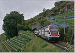 Die Sanierung des Bertholod Tunnel bei Lutry sowie umfangreiche Arbeiten in Cully bedingen an mindestens drei Wocheneden eine Totalsperre der Strecke Vevey - Lausanne.