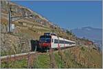 Der SBB RBDe 560 210  Domino  (RBDe 560 DO 94 85 7 210-7 CH-SBB) ist auf der Train de Vignes Strecke auf der Fahrt von Puidoux nach Vevey und zeigt sich nach dem Verlasssen des nur 20 Meter langen