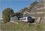 Der SBB RBDe 560 210  Domino  (RBDe 560 DO 94 85 7 210-7 CH-SBB) ist auf der Train de Vignes Strecke auf der Fahrt von Puidoux nach Vevey und verlässt den nur 20 Meter langen Salanfe Tunnel