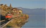 In der von der hinter meinem Rücken langsam untergehend Sonne schon etwas rot gefärbten Landschaft des Lavaux ist die SBB Re 4/4 II 11294 (Re 420 294-1)  100 Jahre Zirkus Knie  mit einem Güterzug auf dem Weg in Richtung Lausanne. 

15. November 2024