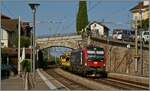 Die von SBB Cargo angemietete 193 067 f�hrt mit einem G�terzug durch den Bahnhof von Rivaz. 

12. August 2026