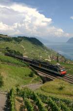 Der Blick schweift ber das Lavaux und Genfersee Richtung Rhonetal und erst auf den zweiten Blick bemerkt man den NPZ Richtung Lausanne, hier zwischen Puidoux Chexbres und Grandvaux.