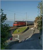 Nischenfotografie; nicht immer reicht der Platz, den ganzen Zug aufs Bild zu bekommen: Re 460 043-3 mit IC 715 nach St. Gallen in Grandvaux am 23. Juni 2010.