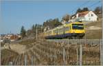 Der  Train des Vignes  in den noch in der Winterruhe weilden Reben bei Chexbres am 24.