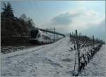 Durch die im Lavaux ungewohnte Klte strebt ein Flirt bei Bossire Lausanne zu.
1. Februar. 2012